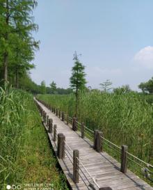 苏州吴中太湖旅游区16