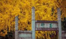 亭林园4