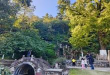 亭林园12