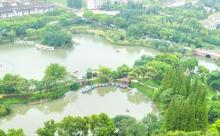亭林园8