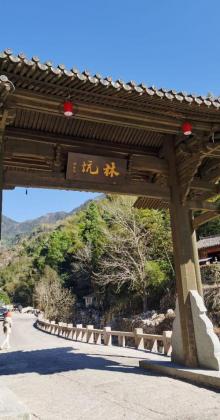 林坑7