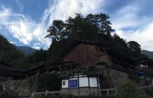 林坑24