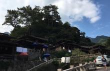 林坑26