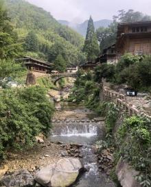 林坑10