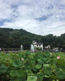 张公洞27