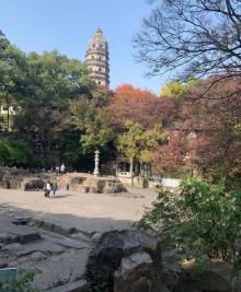 虎丘塔13