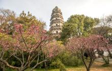 虎丘塔10