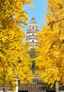 虎丘塔6