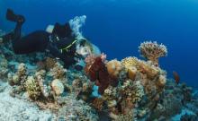 常州海昌海洋探索馆5