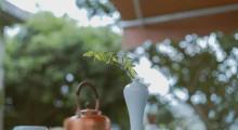 杭州龙坞茶村6