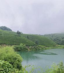 杭州龙坞茶村17