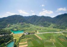 杭州龙坞茶村14