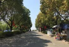 虎丘湿地公园13