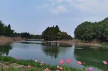 虎丘湿地公园8