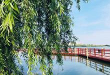虎丘湿地公园11
