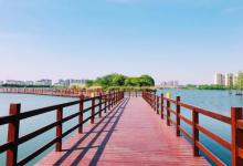 虎丘湿地公园10