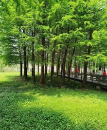 虎丘湿地公园9