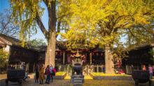 锡惠名胜区1