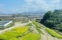 石潭村20
