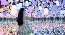 铁定溜溜6