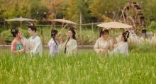 铁定溜溜11