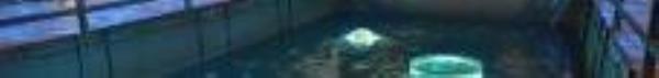 千岛湖“月光之恋”光影艺术夜游10