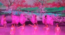 《水之灵》水舞台演出29