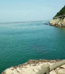 大沙岙12
