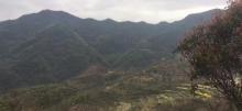 东澄村1