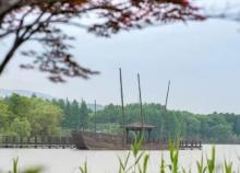 苏州太湖国家湿地公园4