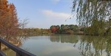 苏州太湖国家湿地公园24