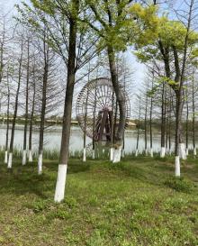 苏州太湖国家湿地公园29