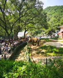 温州动物园18