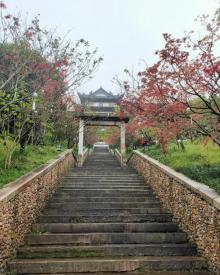 Z园古民居博物馆23