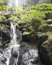 藏龙百瀑17