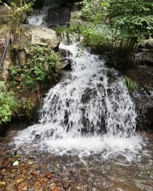 藏龙百瀑30