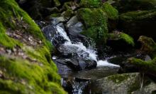藏龙百瀑11