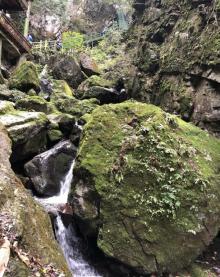 藏龙百瀑20
