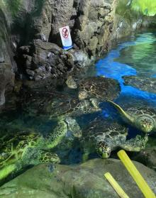 温州极地海洋世界10
