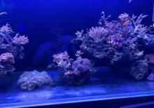 温州极地海洋世界23