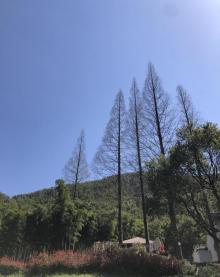 江南天池12