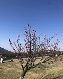 江南天池11