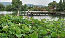尚湖风景区19