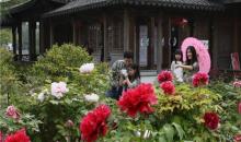 尚湖风景区25