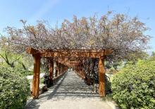 虞山文化旅游度假区4