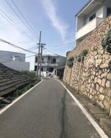 花鸟岛29