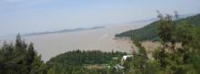 大鹿岛18