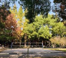 苏州大学26