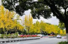 苏州大学15