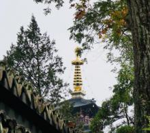 苏州大学14